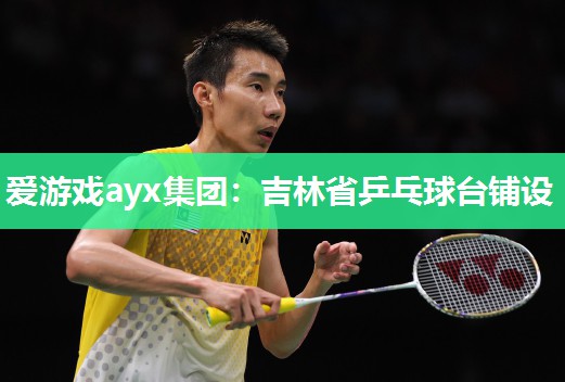 爱游戏ayx集团：吉林省乒乓球台铺设