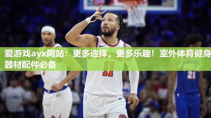爱游戏ayx网站：更多选择，更多乐趣！室外体育健身器材配件必备