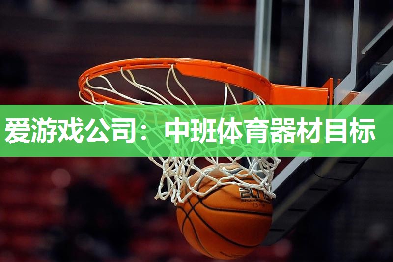 爱游戏公司：中班体育器材目标