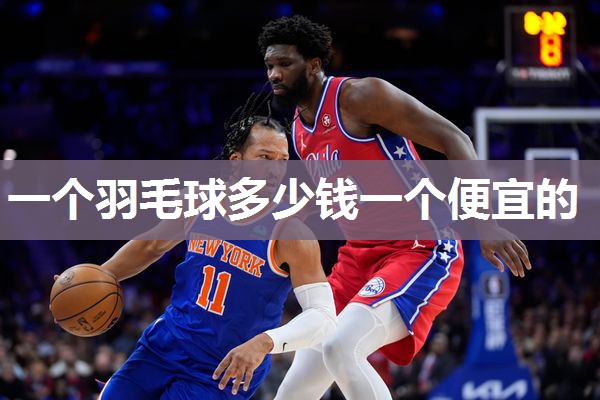 一个羽毛球多少钱一个便宜的