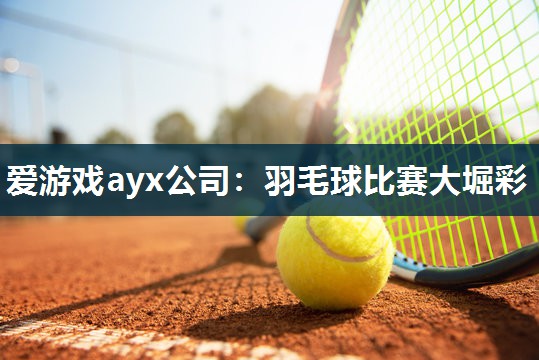 爱游戏ayx公司：羽毛球比赛大堀彩