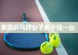 家庭乒乓球台子多少钱一台
