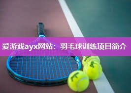 爱游戏ayx网站：羽毛球训练项目简介