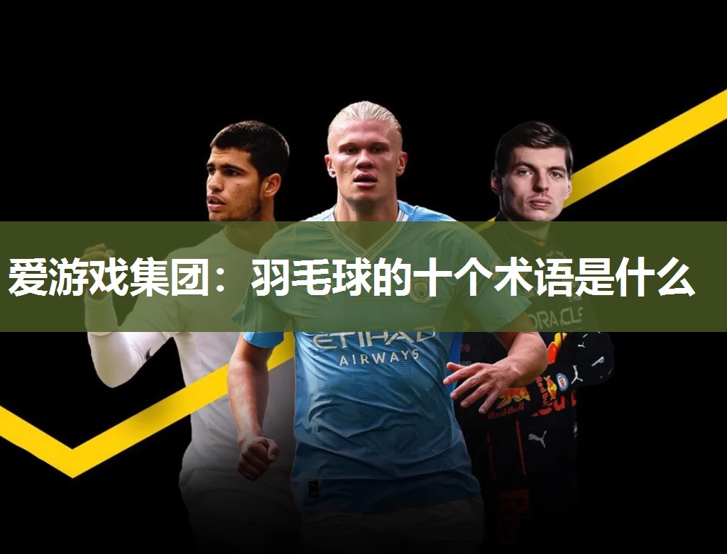 爱游戏集团：羽毛球的十个术语是什么
