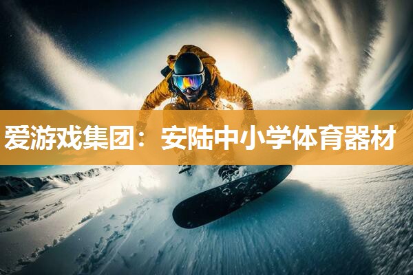 爱游戏集团：安陆中小学体育器材