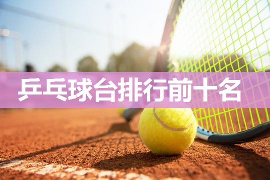 乒乓球台排行前十名