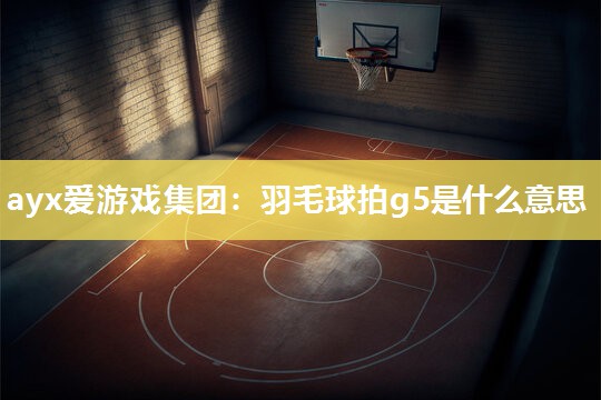ayx爱游戏集团：羽毛球拍g5是什么意思