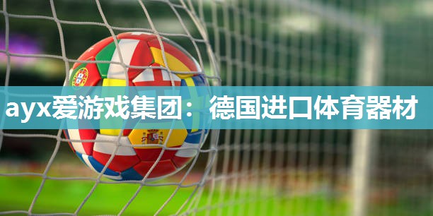 ayx爱游戏集团：德国进口体育器材
