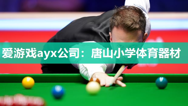 爱游戏ayx公司：唐山小学体育器材