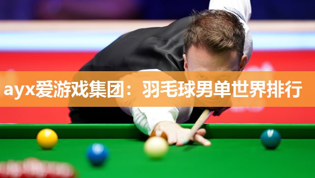 羽毛球男单世界排行