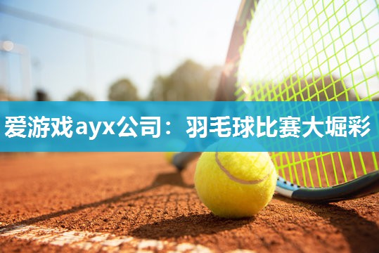 羽毛球比赛大堀彩