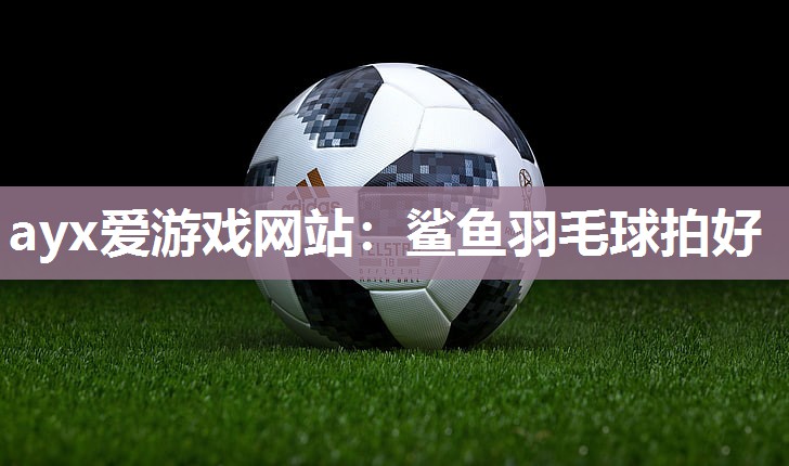 鲨鱼羽毛球拍好