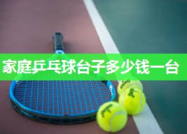 家庭乒乓球台子多少钱一台