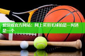 网上买羽毛球拍是一对还是一个