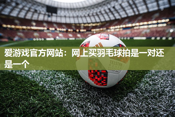网上买羽毛球拍是一对还是一个
