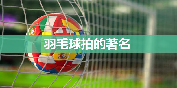 羽毛球拍的著名