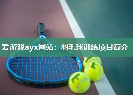 羽毛球训练项目简介
