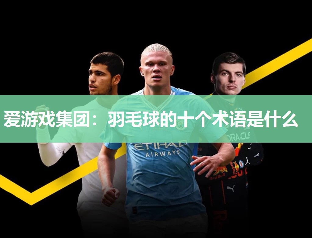 羽毛球的十个术语是什么