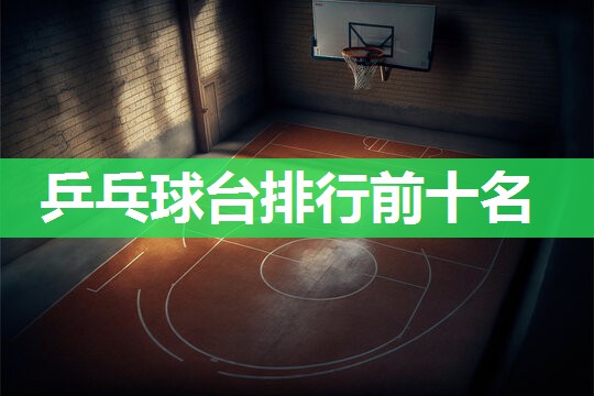 乒乓球台排行前十名