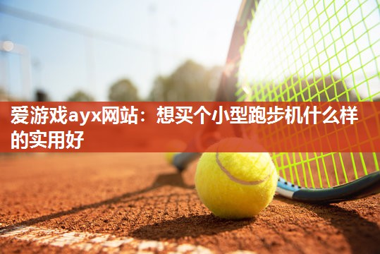 想买个小型跑步机什么样的实用好