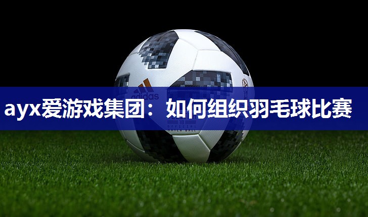 如何组织羽毛球比赛