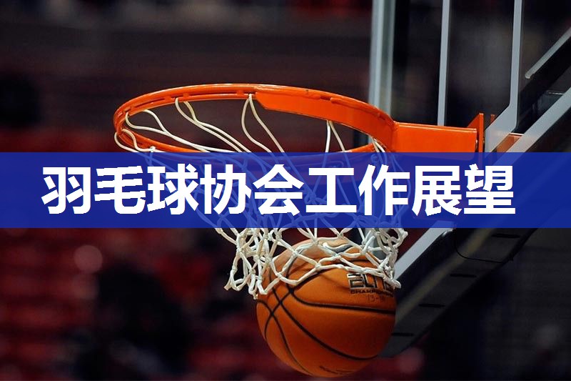 羽毛球协会工作展望